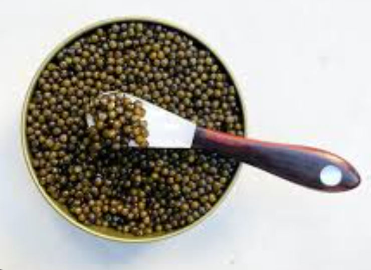 Kaluga Hybrid Caviar