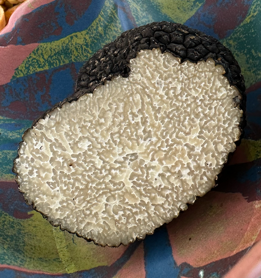 Summer Black Truffles