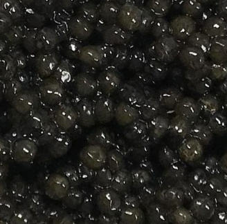 Russian Sturgeon Caviar